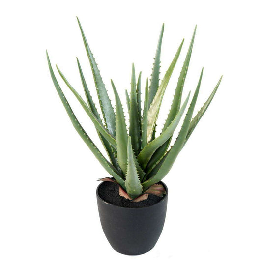 Plante artificielle Aloe vera - plante extérieur intérieur - H.48cm vert