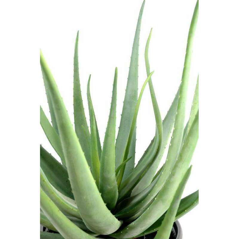 Plante artificielle Aloe vera en pot - cactus pour intérieur extérieur - H.55cm