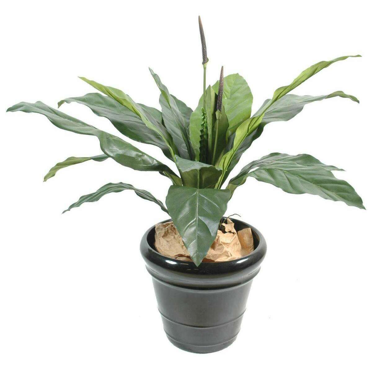 Plante artificielle Anthurium jungle king - décoration d'intérieur - H.80cm vert