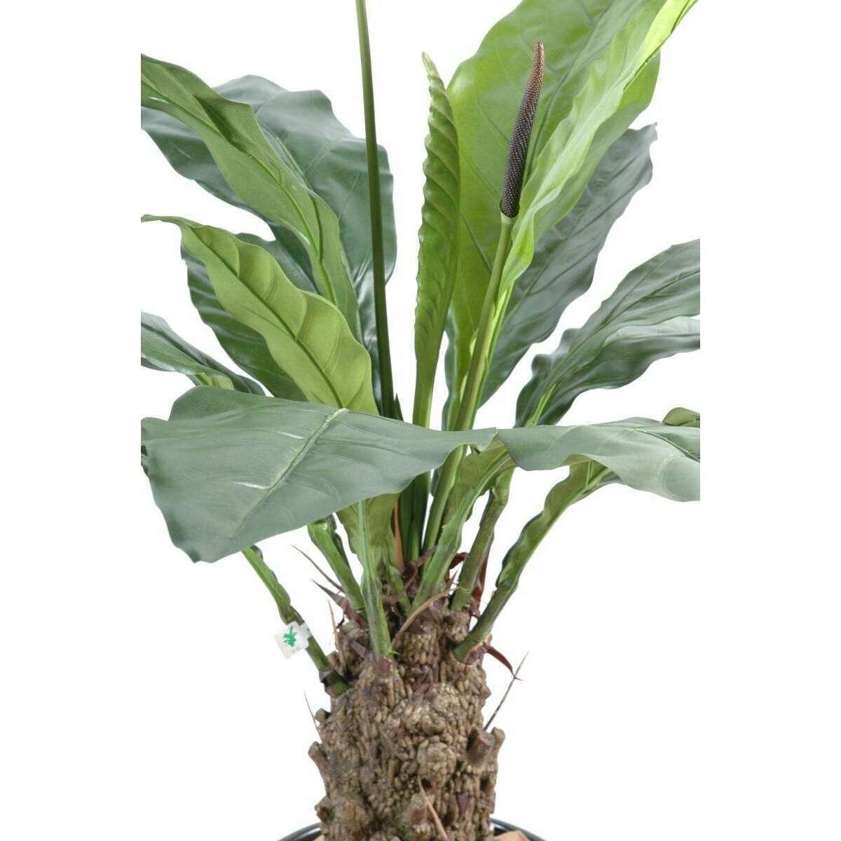 Plante artificielle Anthurium jungle king - décoration d'intérieur - H.80cm vert