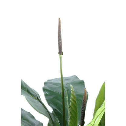 Plante artificielle Anthurium jungle king - décoration d'intérieur - H.80cm vert