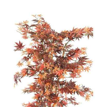 Plante artificielle Aralia automne - érable synthétique pour intérieur - H.150cm