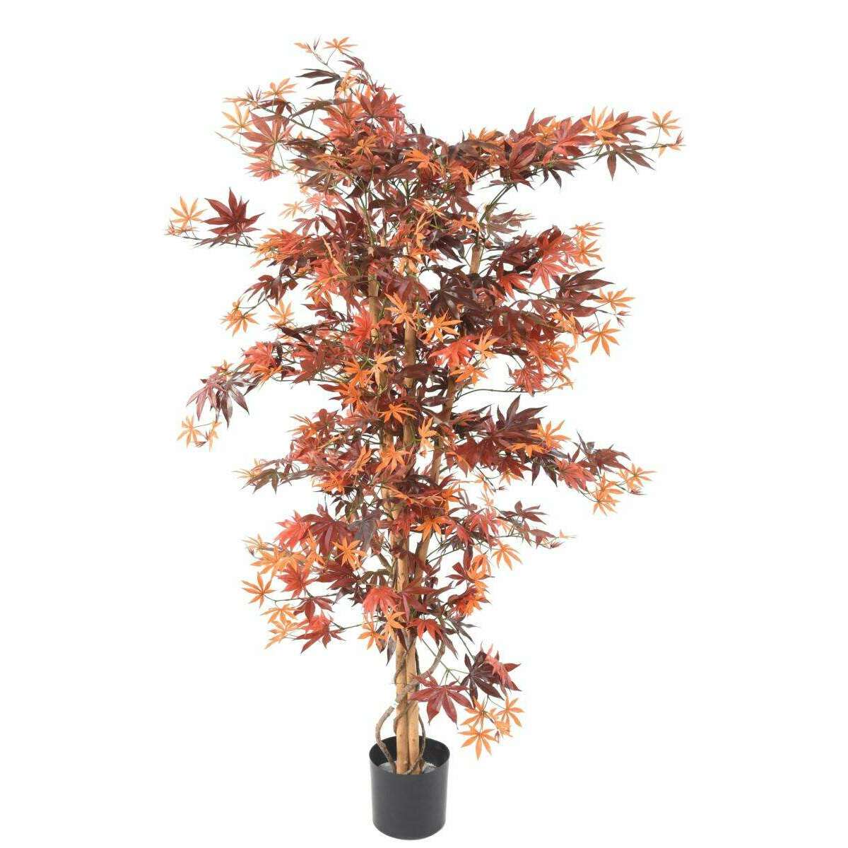 Plante artificielle Aralia automne - érable synthétique pour intérieur - H.150cm