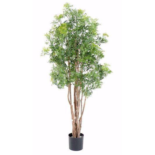 Plante artificielle Aralia Ming - intérieur extérieur - H.160cm vert