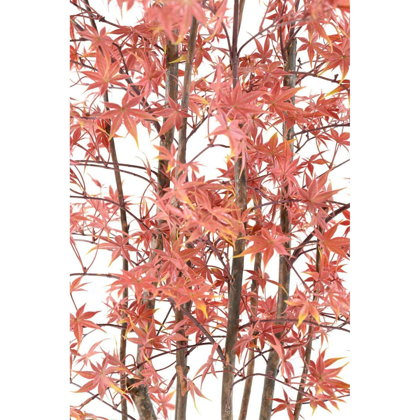 Plante artificielle Aralia Plastique UV (érable) - intérieur extérieur - H.180cm rouge