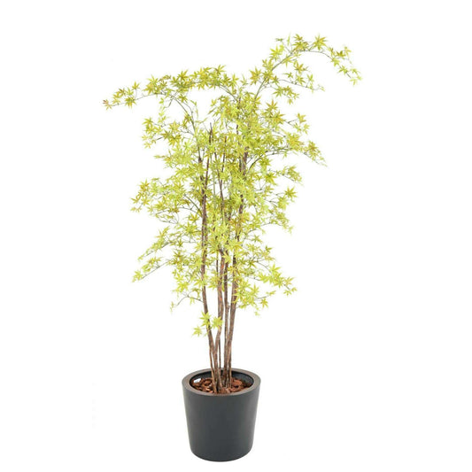 Plante artificielle Aralia Plastique UV (érable) - intérieur extérieur - H.180cm vert