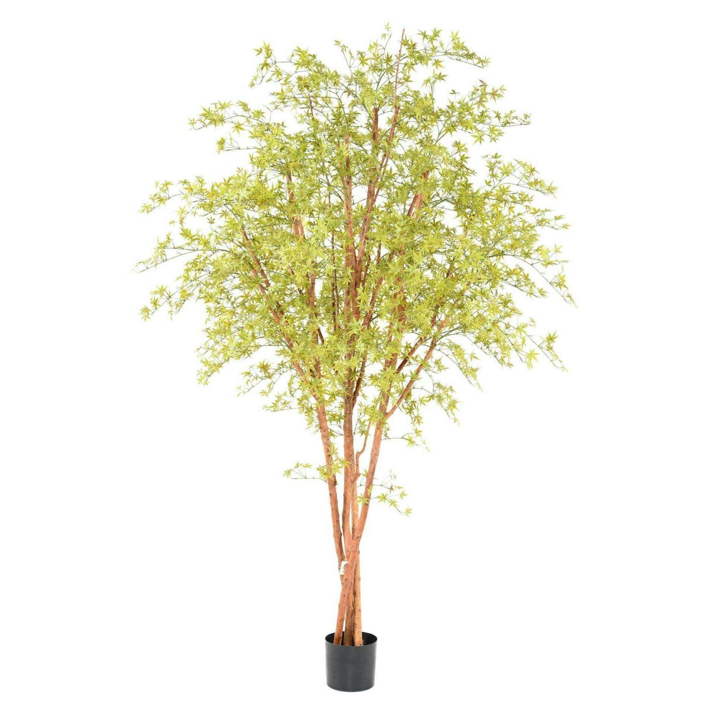 Plante artificielle Aralia Tree PE UV (érable) - intérieur extérieur - H.270cm vert