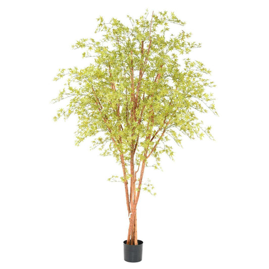 Plante artificielle Aralia Tree PE UV (érable) - intérieur extérieur - H.270cm vert