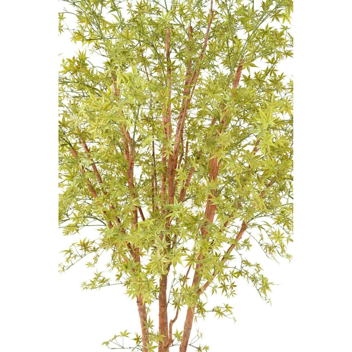 Plante artificielle Aralia Tree PE UV (érable) - intérieur extérieur - H.270cm vert