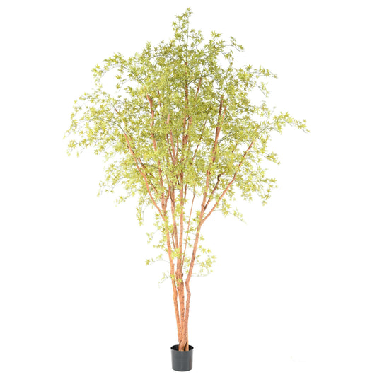 Plante artificielle Aralia Tree PE UV (érable) - intérieur extérieur - H.340cm vert