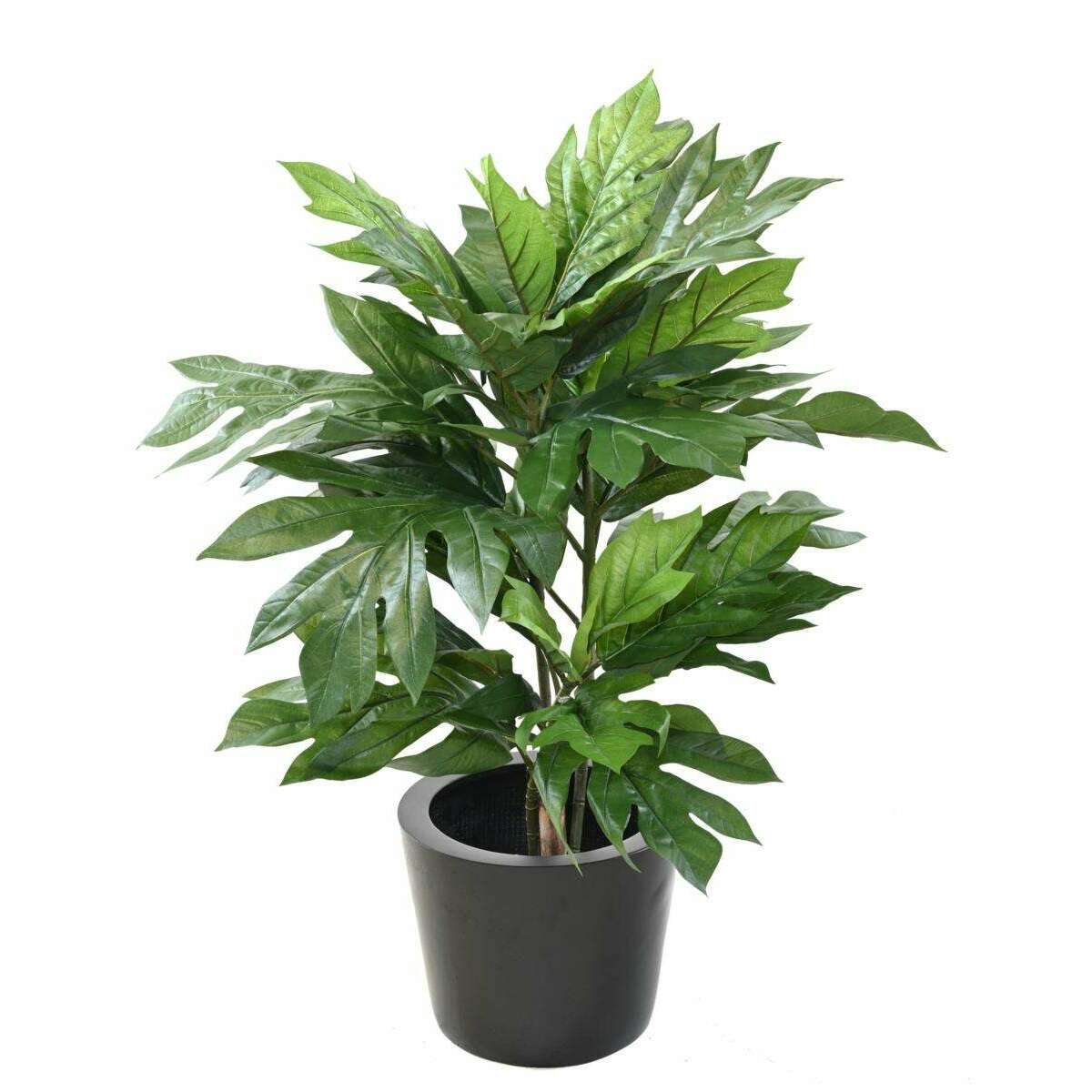 Plante artificielle Artocarpus Altilis - arbre à pain pour intérieur - H.100cm