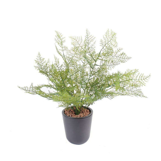 Plante artificielle Asparagus plastique - intérieur extérieur - H.50cm vert