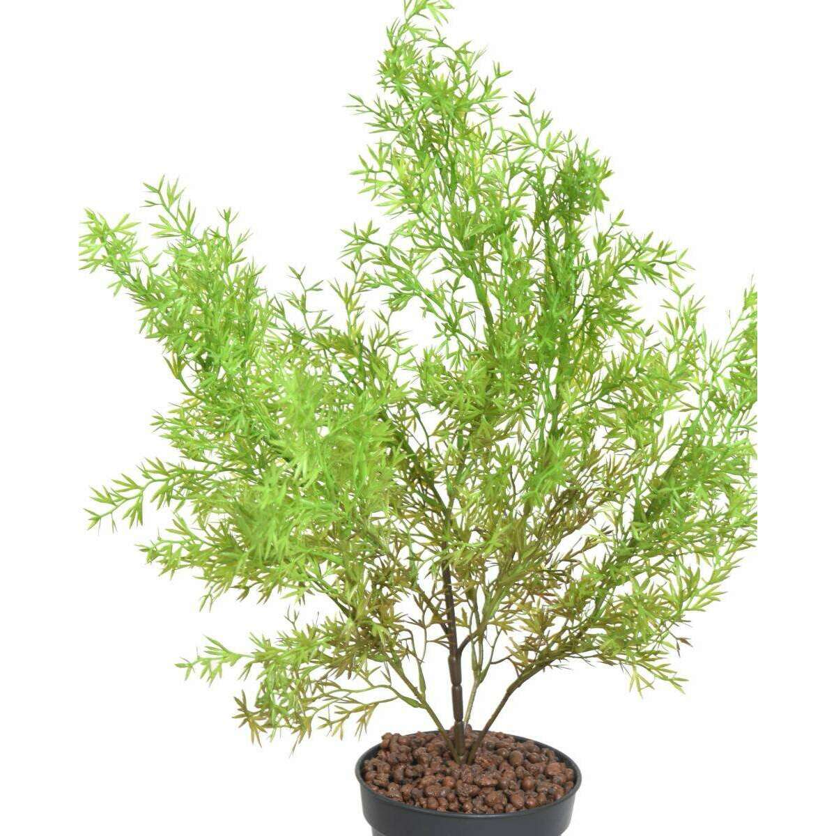 Plante artificielle Asparagus plastique - intérieur extérieur - H.62cm vert