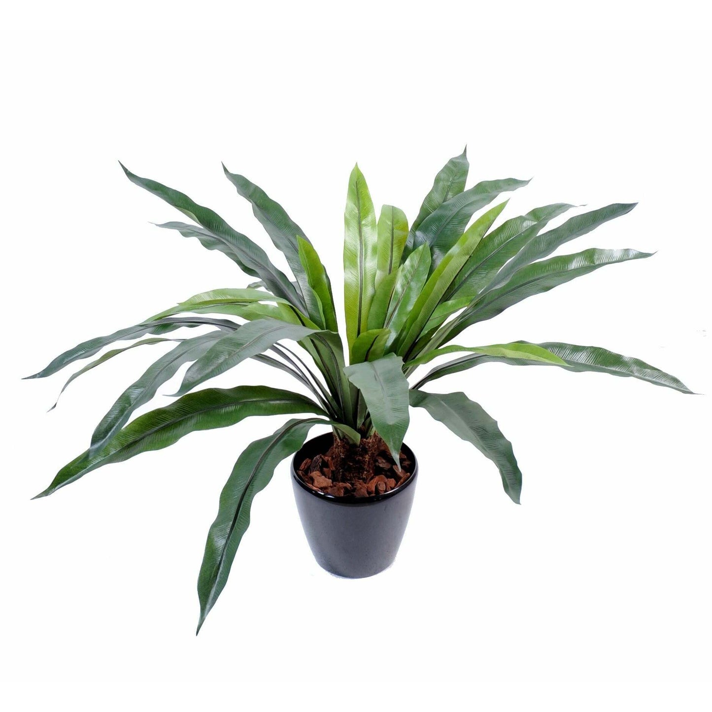 Plante artificielle Asplenium 30 feuilles - décoration d'intérieur - H.60cm