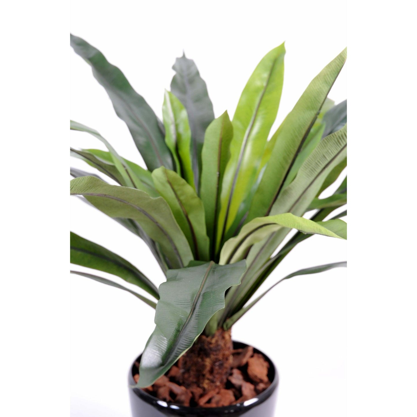 Plante artificielle Asplenium 30 feuilles - décoration d'intérieur - H.60cm