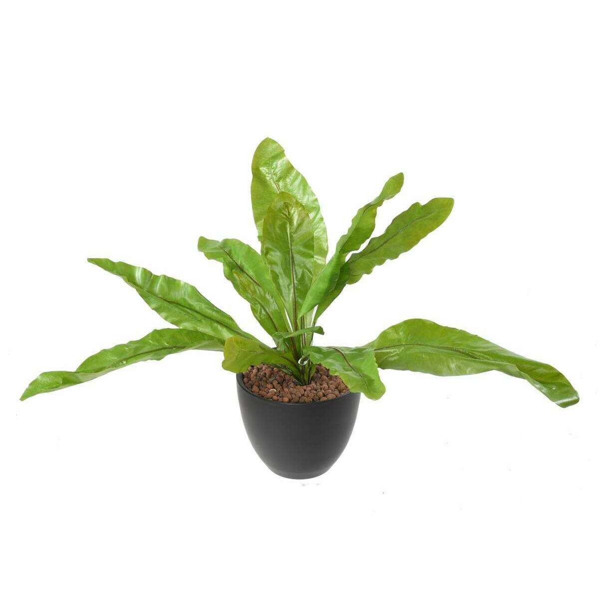 Plante artificielle Asplenium en piquet -plante d'intérieur - H.70cm vert