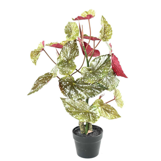 Plante artificielle Begonia maculata - décoration d'intérieur - H.70cm vert rouge