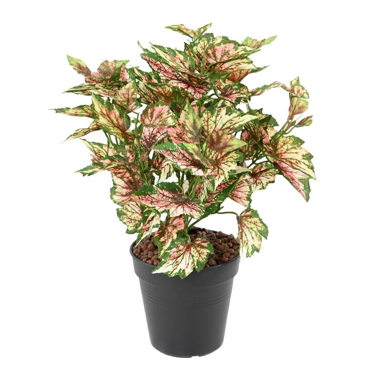 Plante artificielle Begonia rex en piquet - décoration d'intérieur - H.37cm panaché