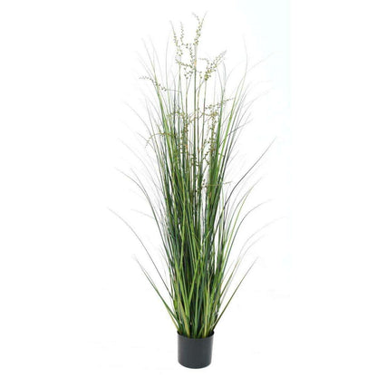 Plante artificielle Berry Onion Grass en pot - intérieur - H.150cm vert