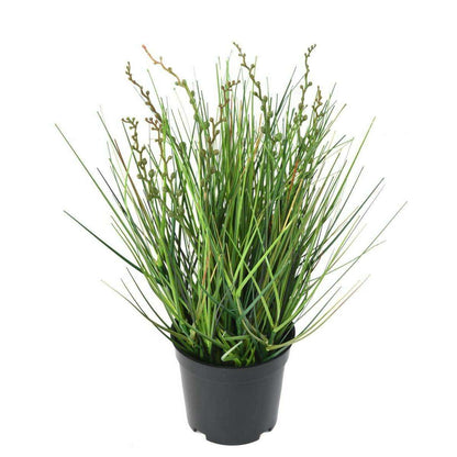 Plante artificielle Berry Onion Grass en pot - intérieur - H.35cm vert