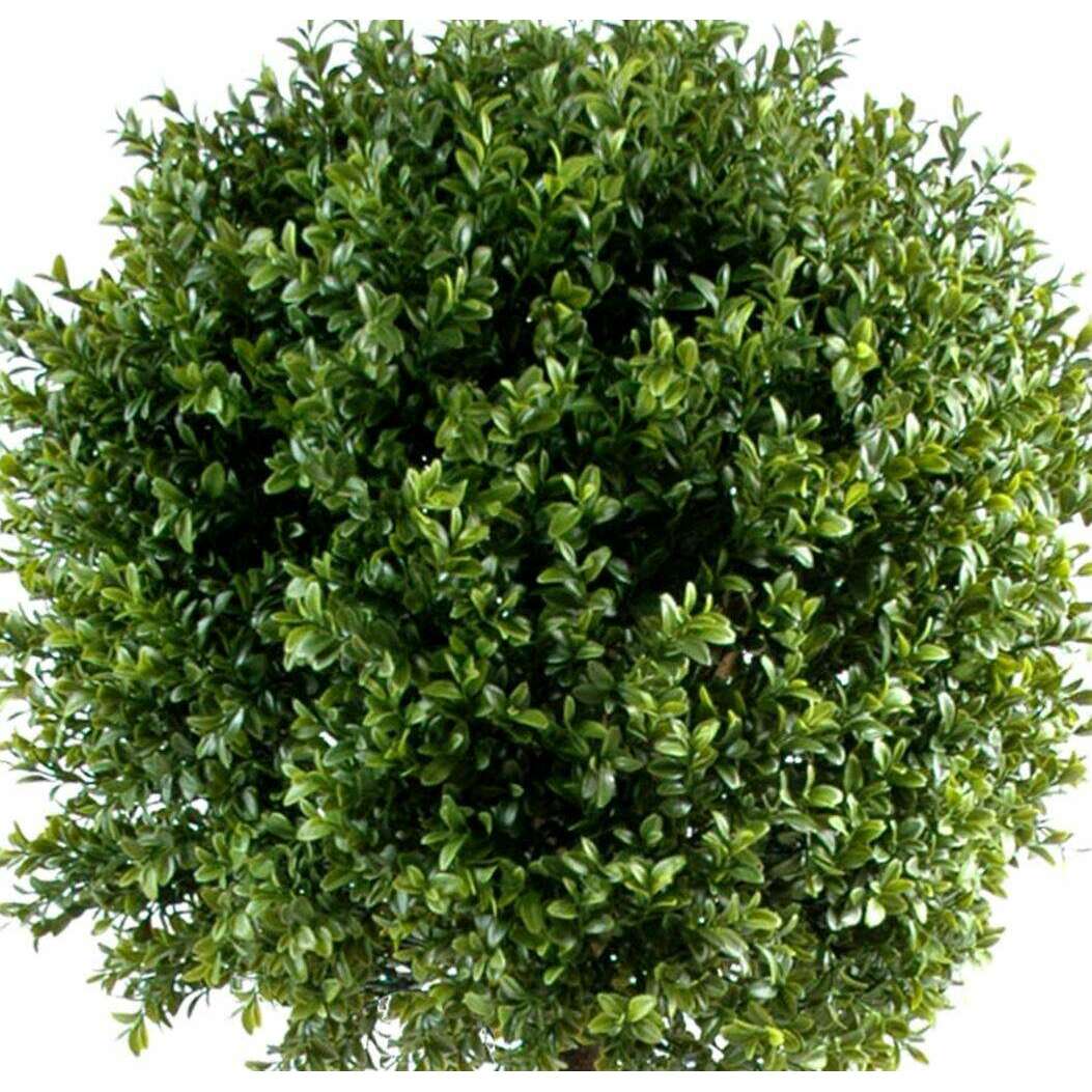 Plante artificielle Buis tige boule - intérieur extérieur - H.140cm vert