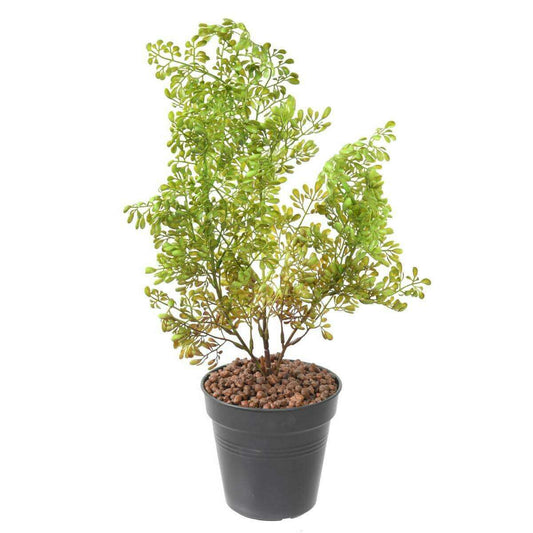 Plante artificielle Buxus en piquet - intérieur extérieur - H.50cm vert foncé