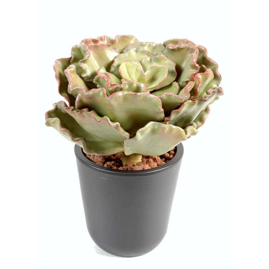 Plante artificielle Cactus Crassula Echeveria en piquet - intérieur - H.25cm