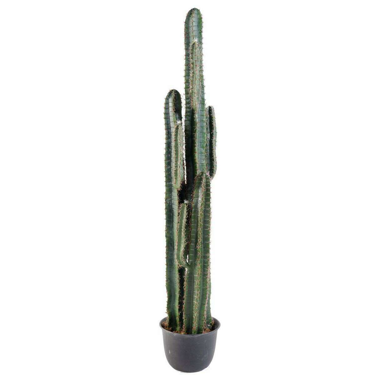 Plante artificielle Cactus Finger - Plante synthétique intérieur - H. 185cm vert