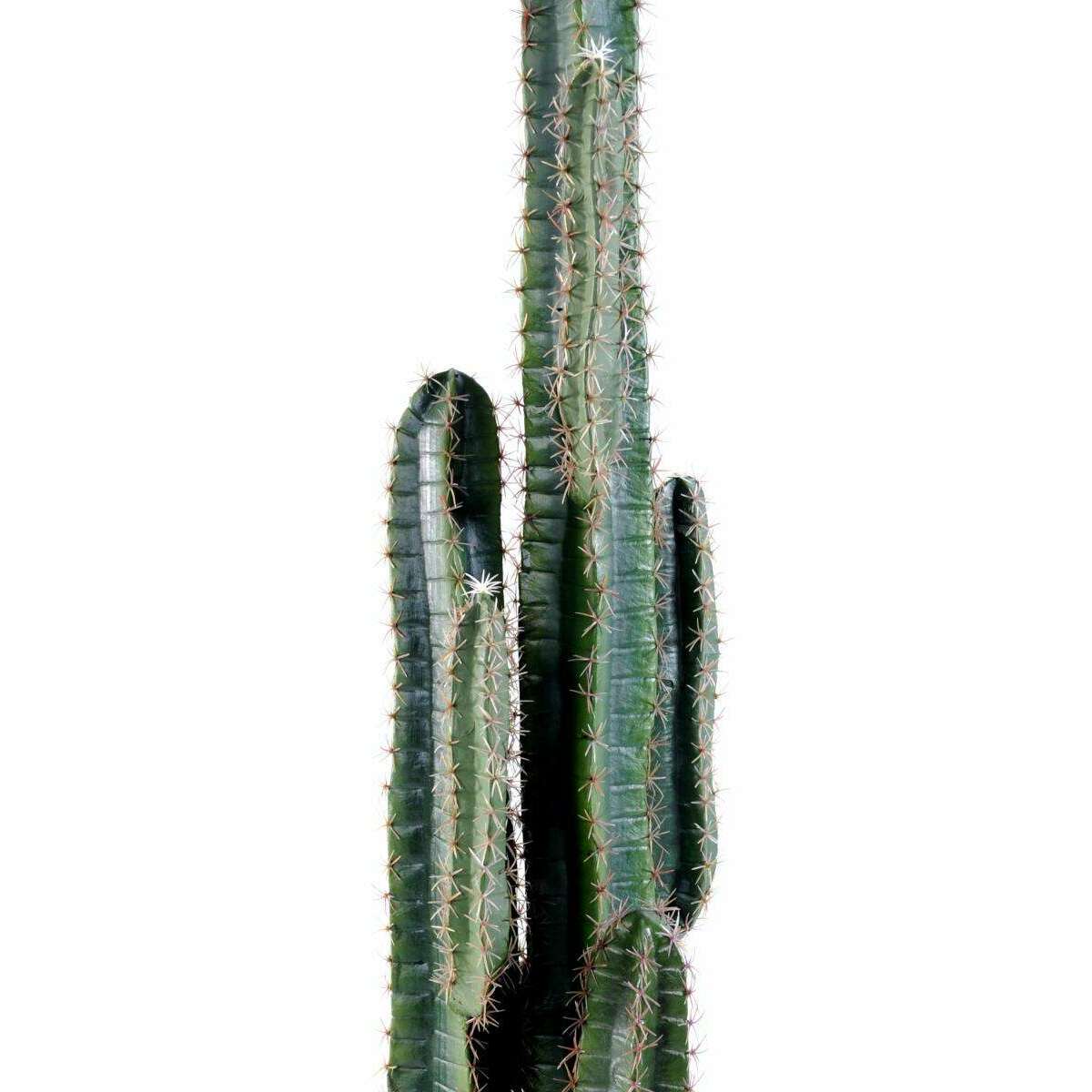 Plante artificielle Cactus Finger - Plante synthétique intérieur - H. 185cm vert