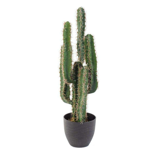 Plante artificielle Cactus Finger - Plante synthétique intérieur - H. 75cm vert