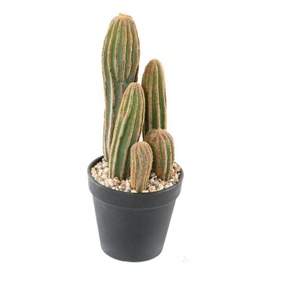 Plante artificielle Cactus Finger 5 troncs - Plante pour intérieur - H.28cm vert