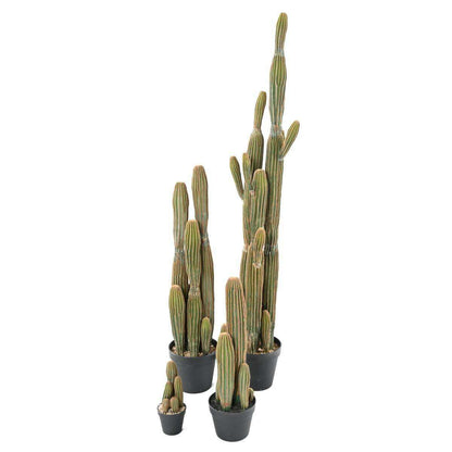 Plante artificielle Cactus Finger 5 troncs - Plante pour intérieur - H.28cm vert