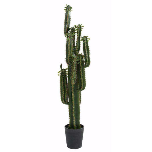 Plante artificielle Cactus Finger avec feuilles - Plante pour intérieur - H.150cm vert