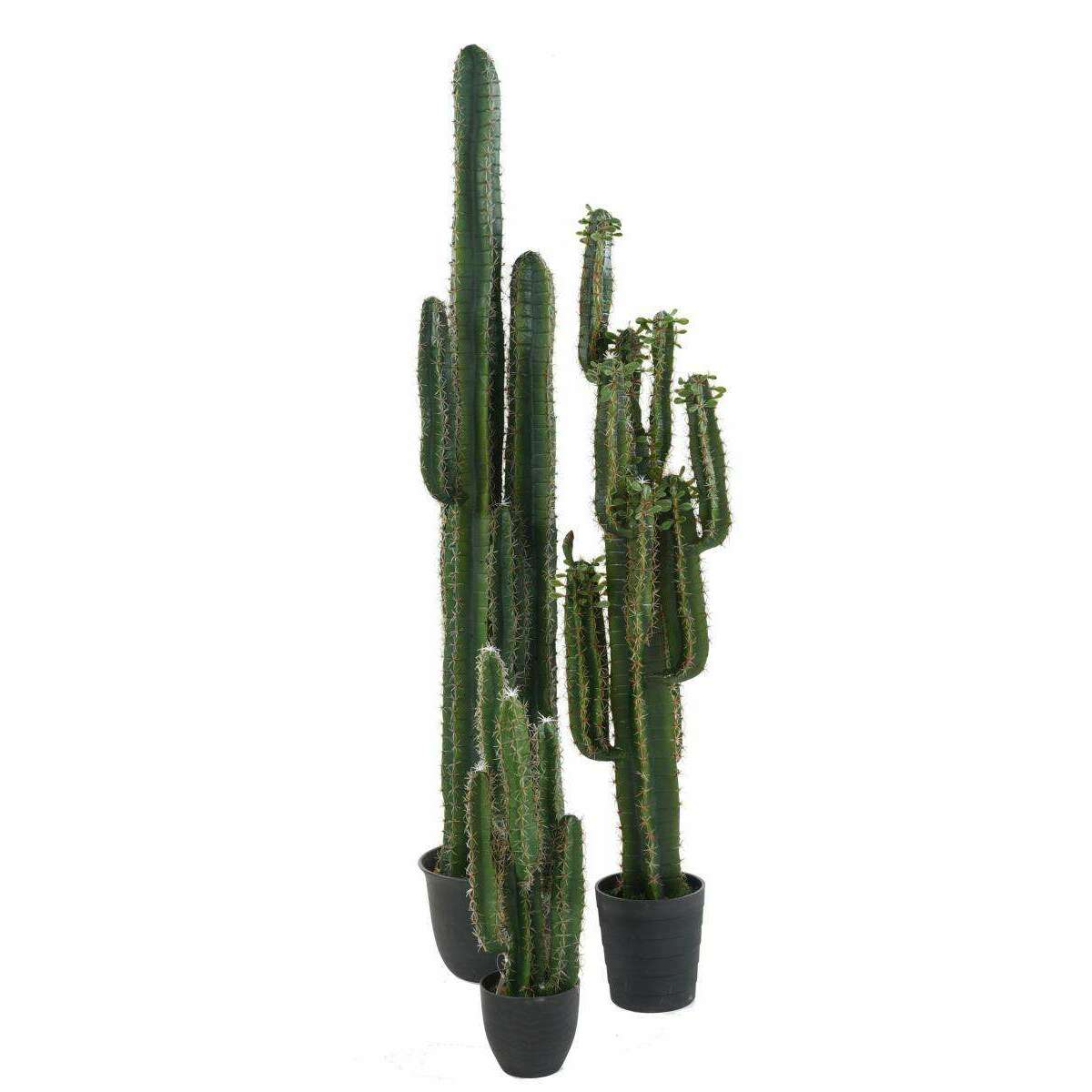 Plante artificielle Cactus Finger avec feuilles - Plante pour intérieur - H.150cm vert