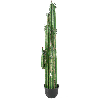 Plante artificielle Cactus Finger avec feuilles - Plante pour intérieur - H.185cm vert