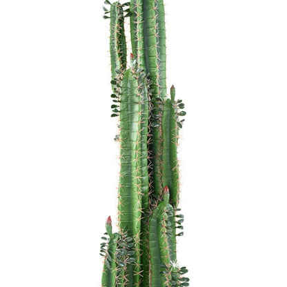 Plante artificielle Cactus Finger avec feuilles - Plante pour intérieur - H.185cm vert