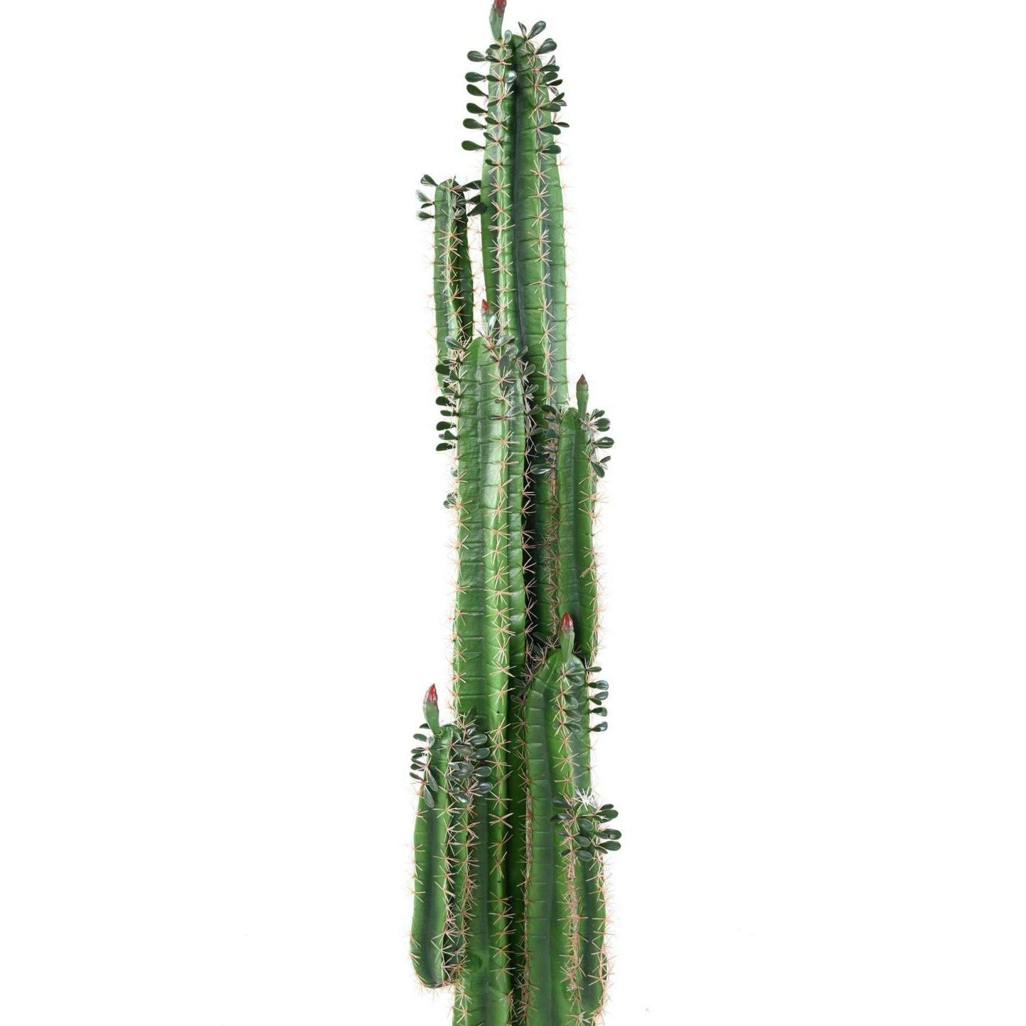 Plante artificielle Cactus Finger avec feuilles - Plante pour intérieur - H.185cm vert