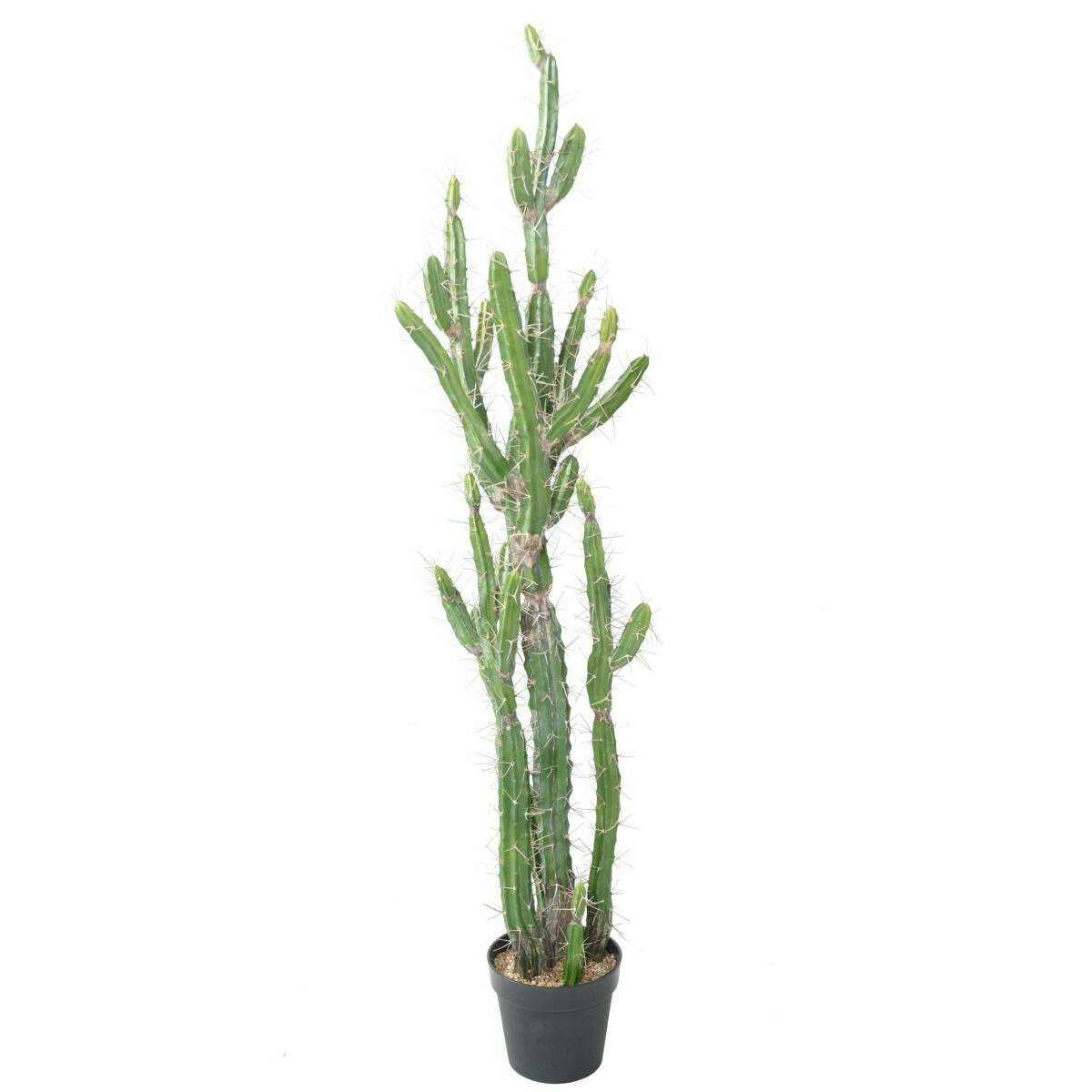 Plante artificielle Cactus Finger F - Plante pour intérieur - H.140cm vert