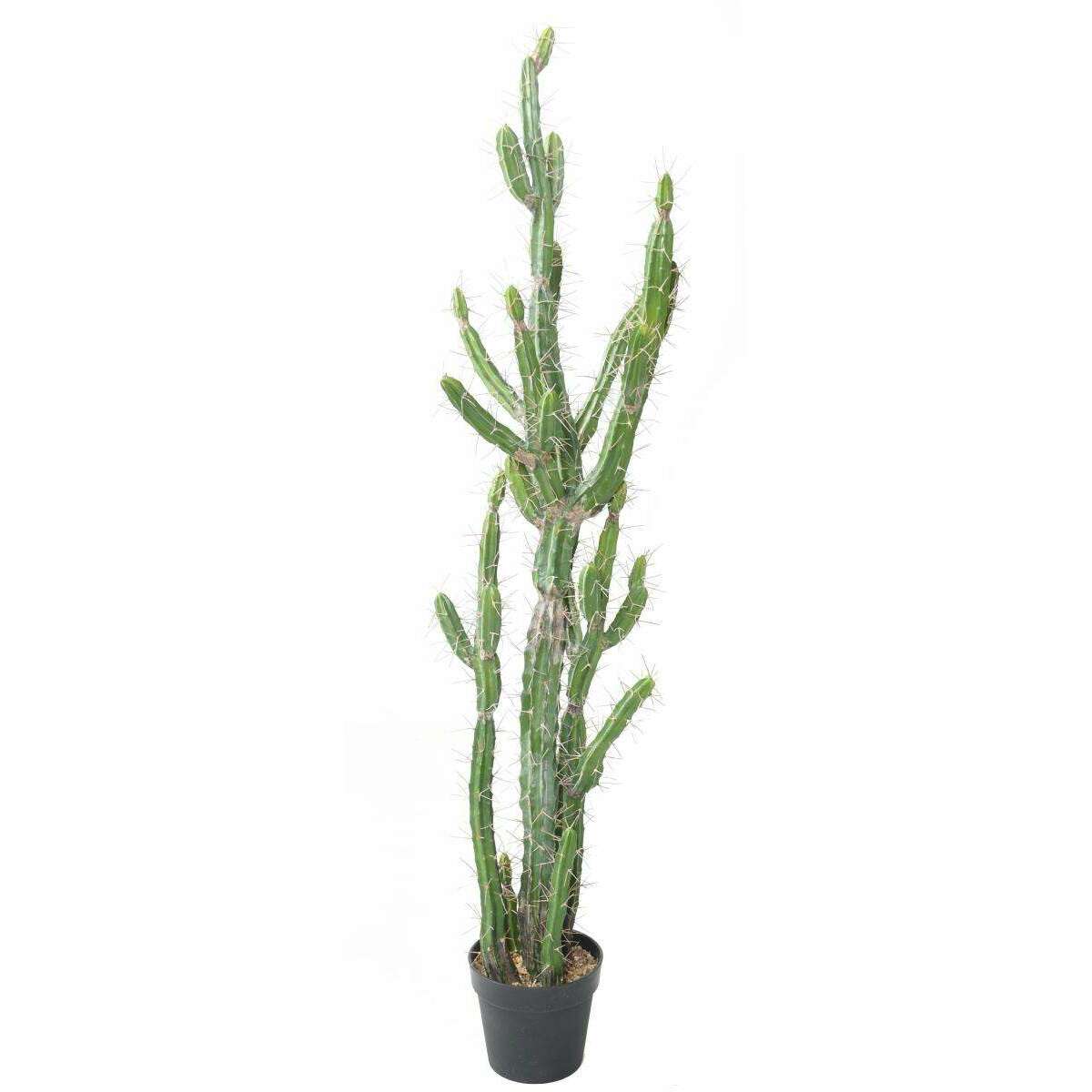 Plante artificielle Cactus Finger F - Plante pour intérieur - H.140cm vert