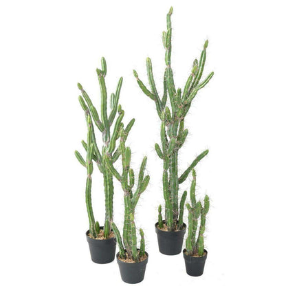 Plante artificielle Cactus Finger F - Plante pour intérieur - H.140cm vert