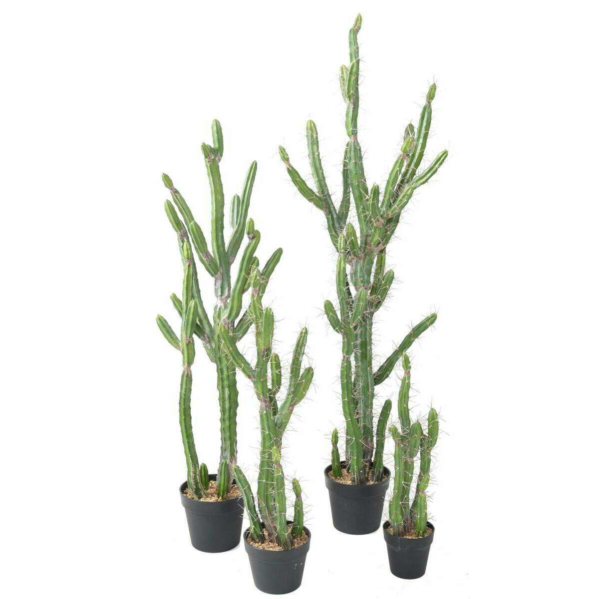 Plante artificielle Cactus Finger F - Plante pour intérieur - H.60cm vert