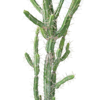 Plante artificielle Cactus Finger F - Plante pour intérieur - H.85cm vert