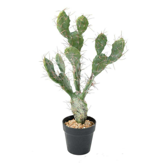 Plante artificielle Cactus Plat - Plante pour intérieur - H. 58cm vert