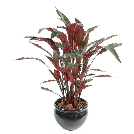 Plante artificielle Calathea - décoration d'intérieur - H.85cm vert rouge