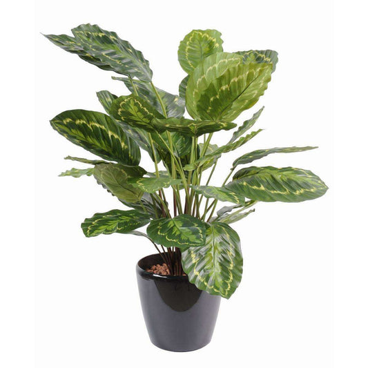 Plante artificielle Calathea Roseopicta - décoration d'intérieur - H.70cm vert