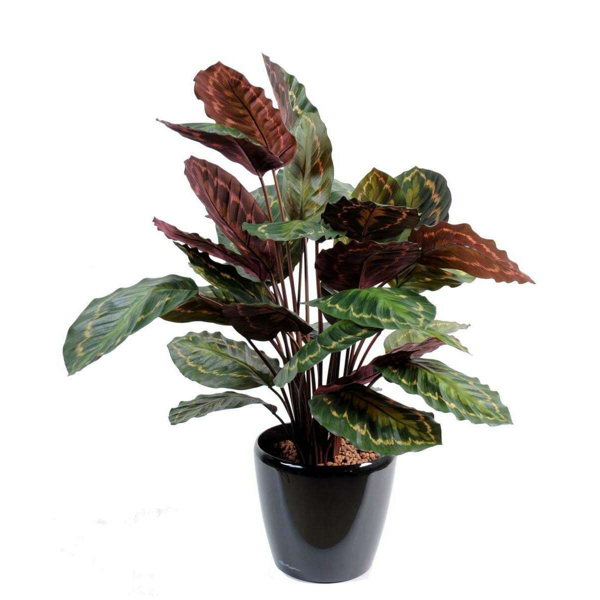 Plante artificielle Calathea Roseopicta - décoration d'intérieur - H.70cm vert rouge