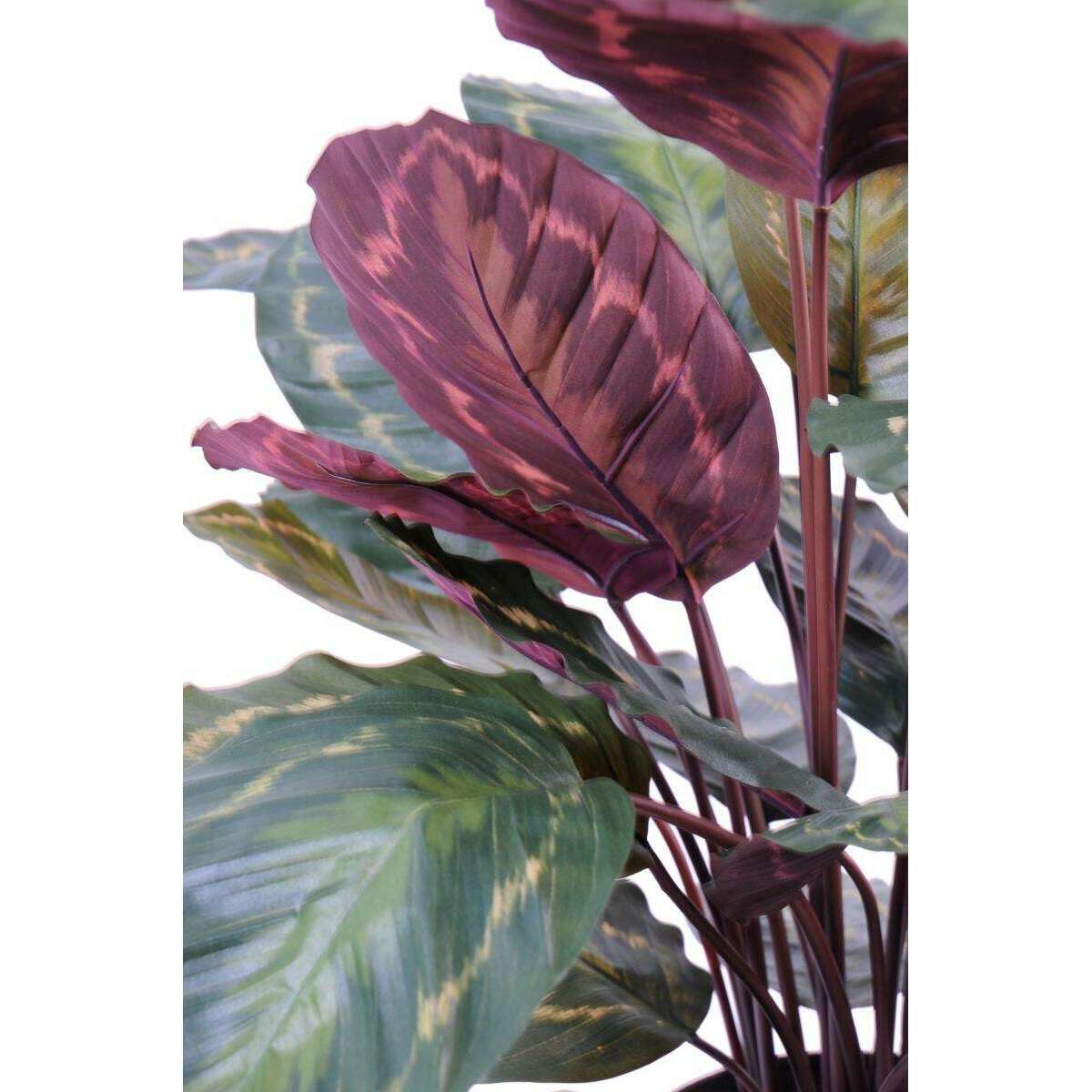 Plante artificielle Calathea Roseopicta - décoration d'intérieur - H.70cm vert rouge