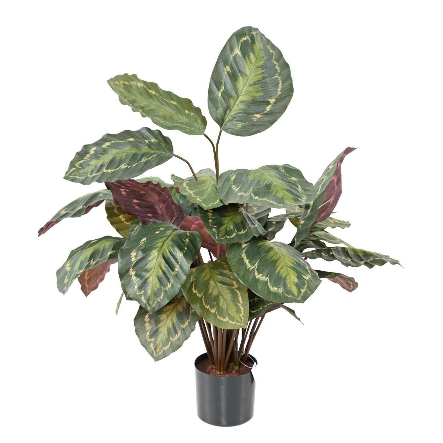 Plante artificielle Calathea Roseopicta - décoration d'intérieur - H.70cm vert rouge