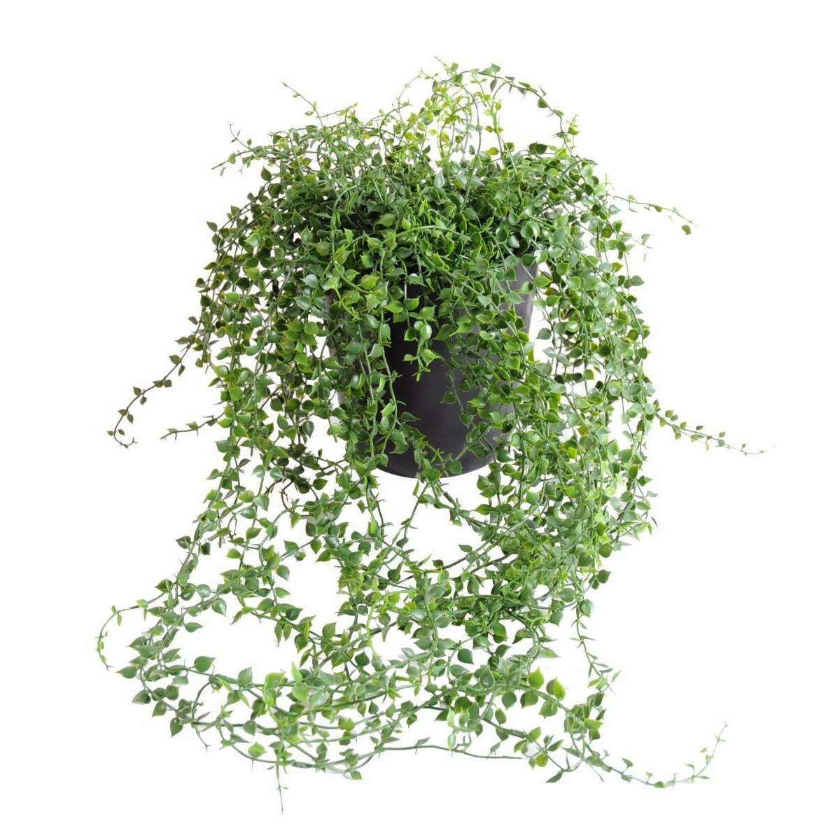 Plante artificielle Callisia en pot - intérieur extérieur - H.70cm vert