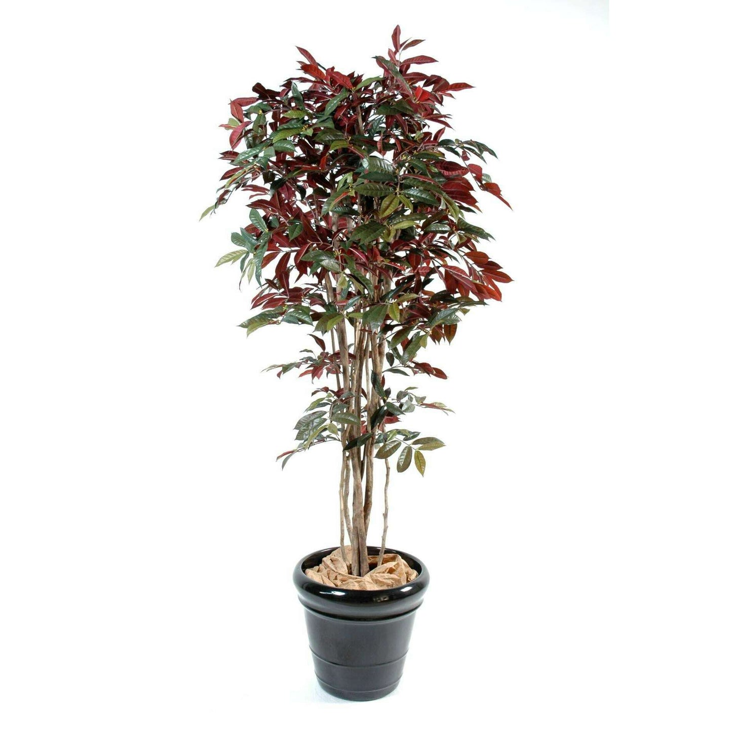 Plante artificielle Capensia Nice - décoration d'intérieur - H.170cm vert rouge